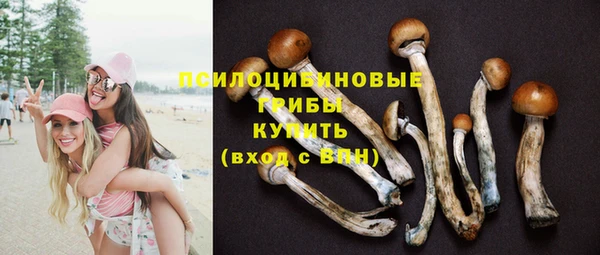 соль курить ск Снежногорск